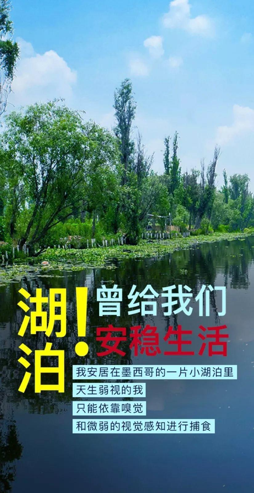 刚刚，被这波“脏”公益震撼了！