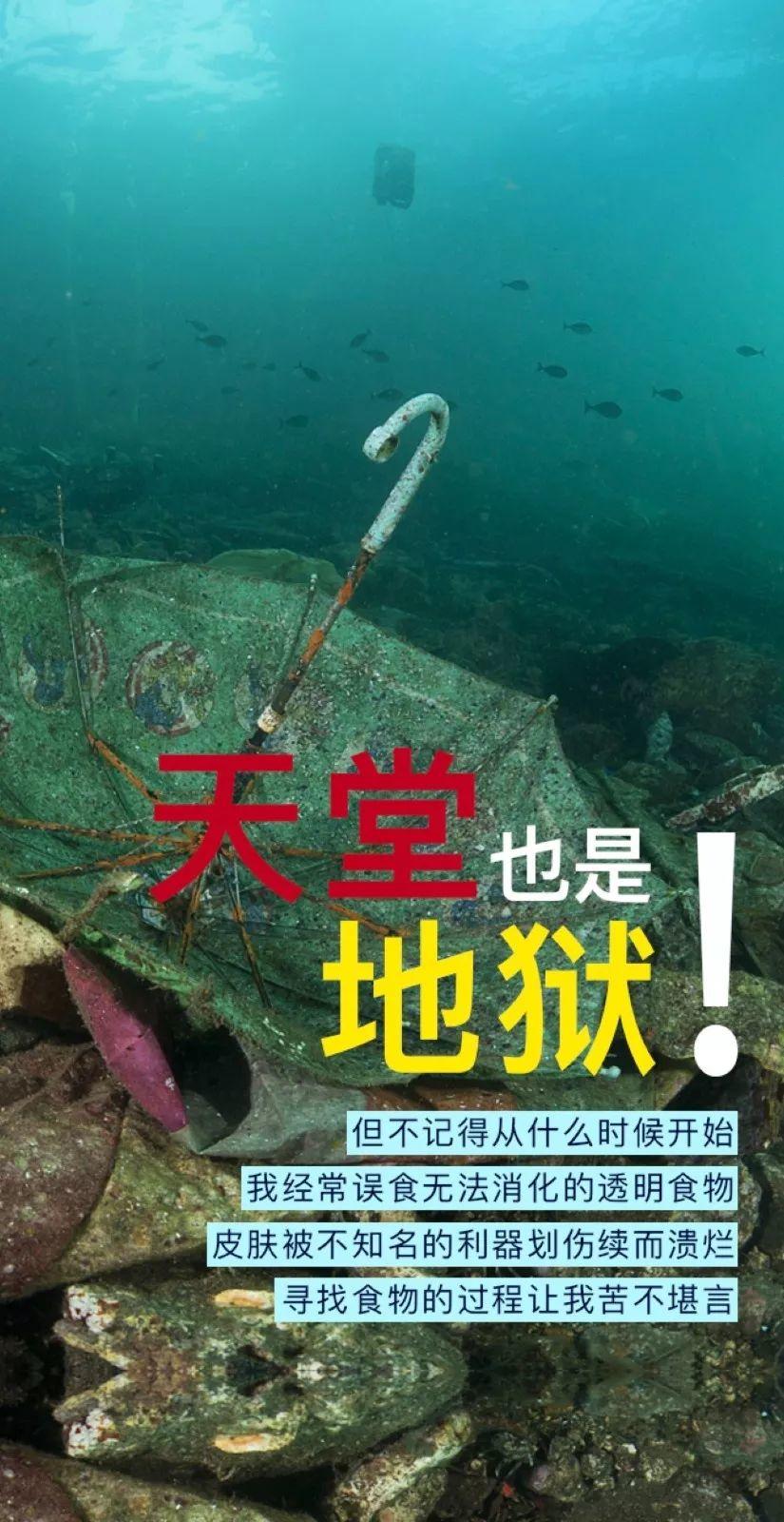 刚刚,被这波“脏”公益震撼了! 刚刚,被这波“脏”公益震撼了!